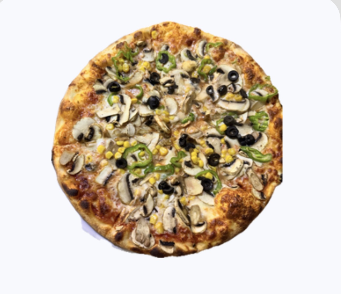 Vegeterian